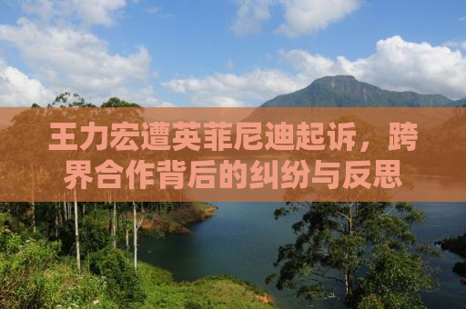 王力宏遭英菲尼迪起诉，跨界合作背后的纠纷与反思