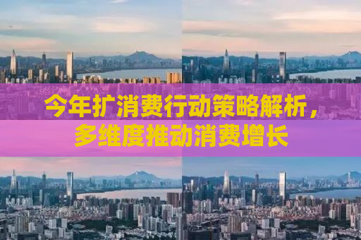 今年扩消费行动策略解析，多维度推动消费增长