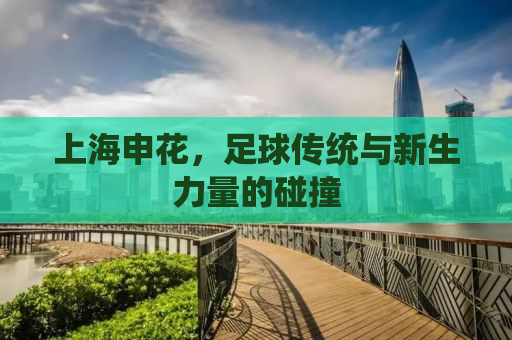 上海申花，足球传统与新生力量的碰撞