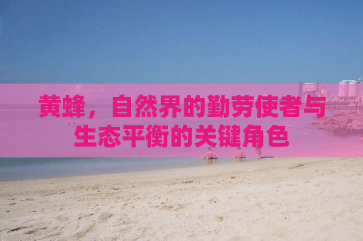 黄蜂，自然界的勤劳使者与生态平衡的关键角色