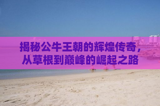 揭秘公牛王朝的辉煌传奇，从草根到巅峰的崛起之路
