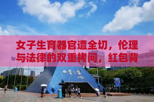 女子生育器官遭全切，伦理与法律的双重拷问，红包背后的道德困境