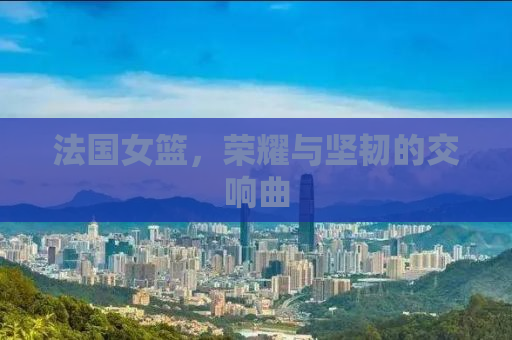 法国女篮，荣耀与坚韧的交响曲