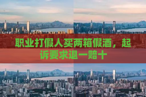 职业打假人买两箱假酒，起诉要求退一赔十