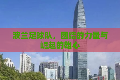 波兰足球队，团结的力量与崛起的雄心